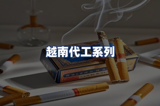 越南代工系列